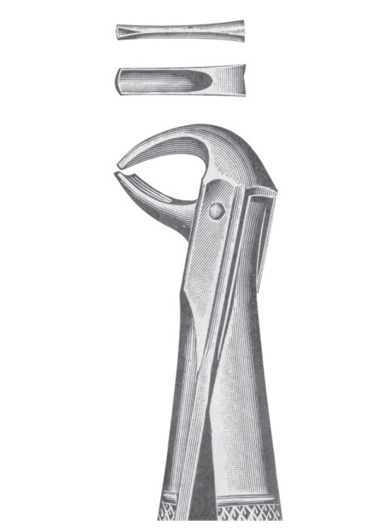 AI-DM-1143 